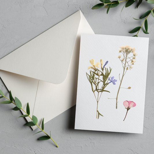 White Cards and Envelopes (10 pack) - 4in x 6in